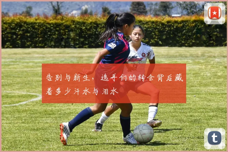 告别与新生，选手们的转会背后藏着多少汗水与泪水