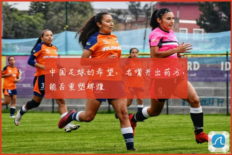 中国足球的希望,名嘴开出药方,能否重塑辉煌