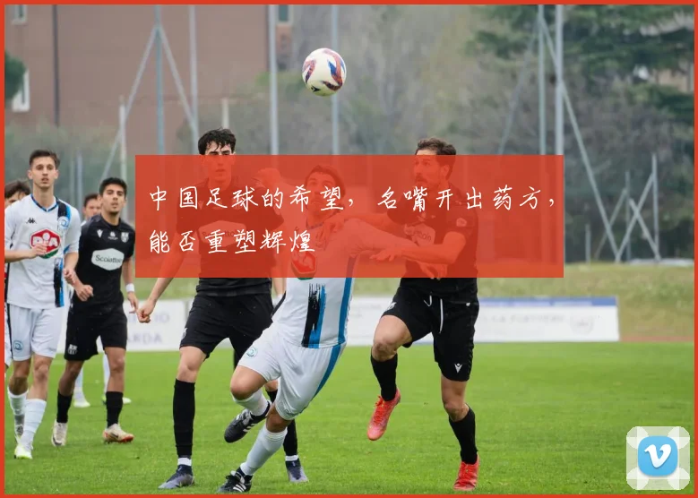 中国足球的希望,名嘴开出药方,能否重塑辉煌