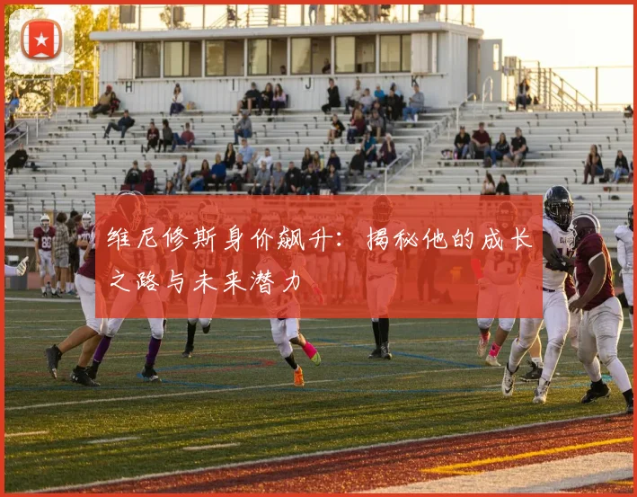 维尼修斯身价飙升：揭秘他的成长之路与未来潜力