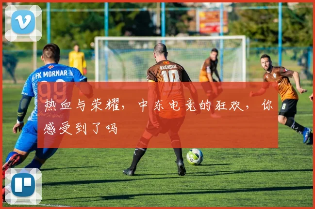 热血与荣耀,中东电竞的狂欢,你感受到了吗