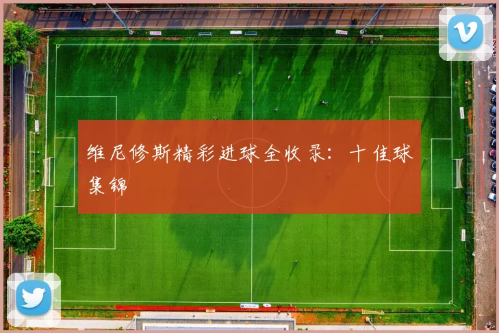 维尼修斯精彩进球全收录:十佳球集锦
